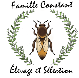 Logo du site